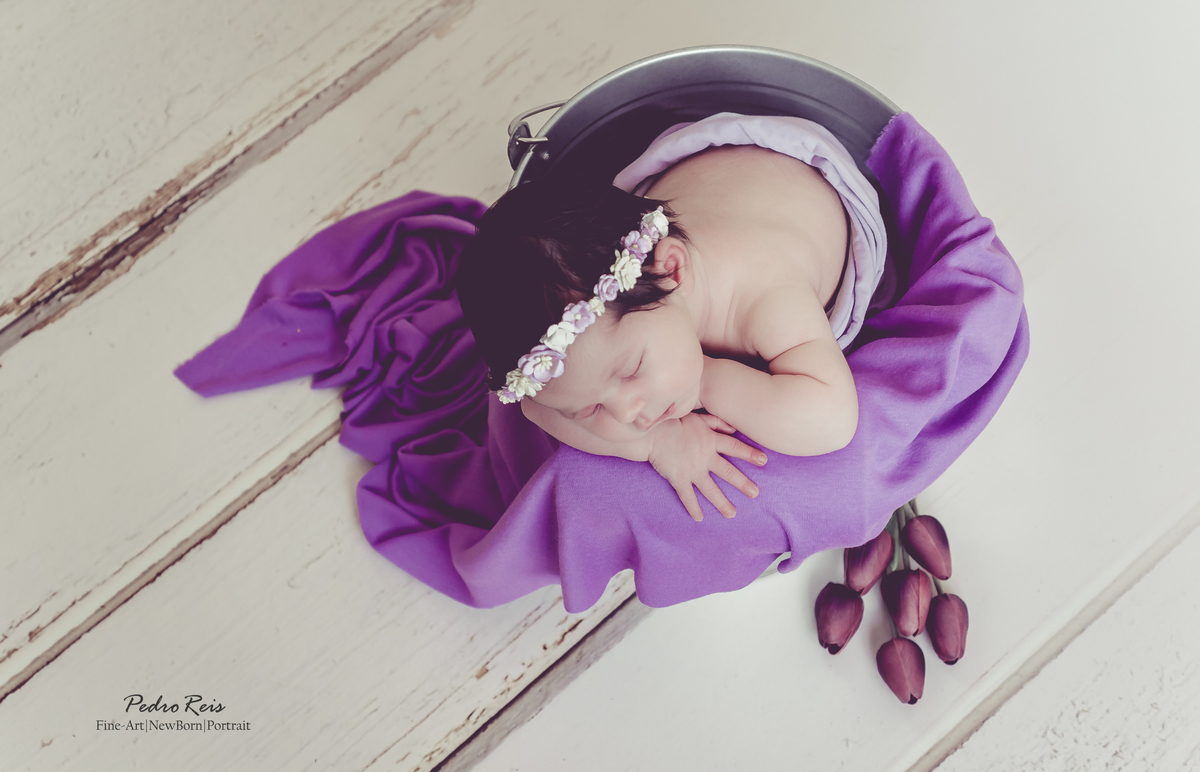 Imagem capa - Lançamento do Canal Youtube por © Copyright 2020 - Pedro Reis Fine-Art | NewBorn | Portrait