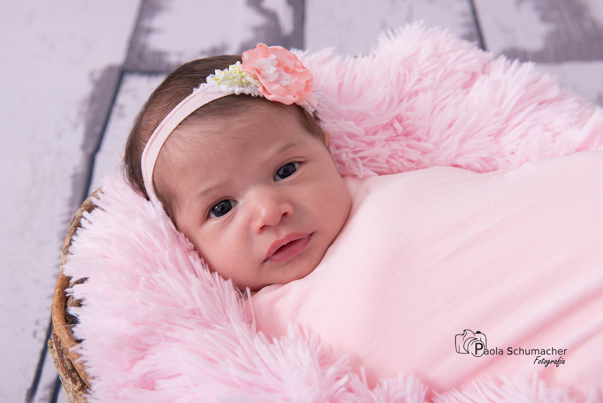 newborn.book.recem.nascido.paola.fotografia