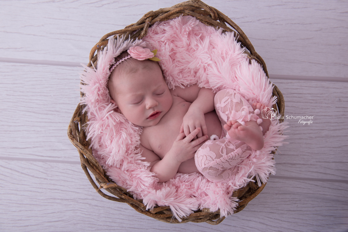 newborn.book.recem.nascido.paola.fotografia