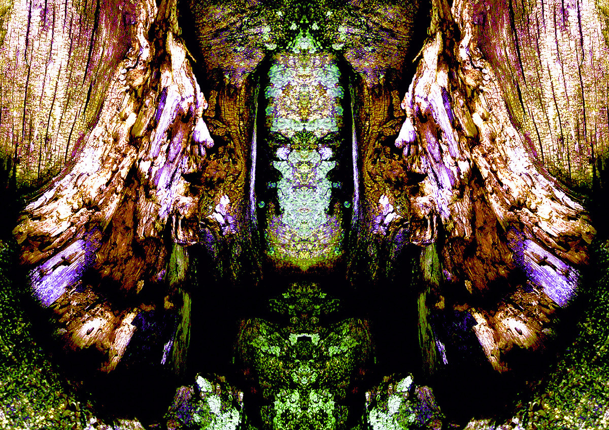 LDH P1 011
 - Projeto 