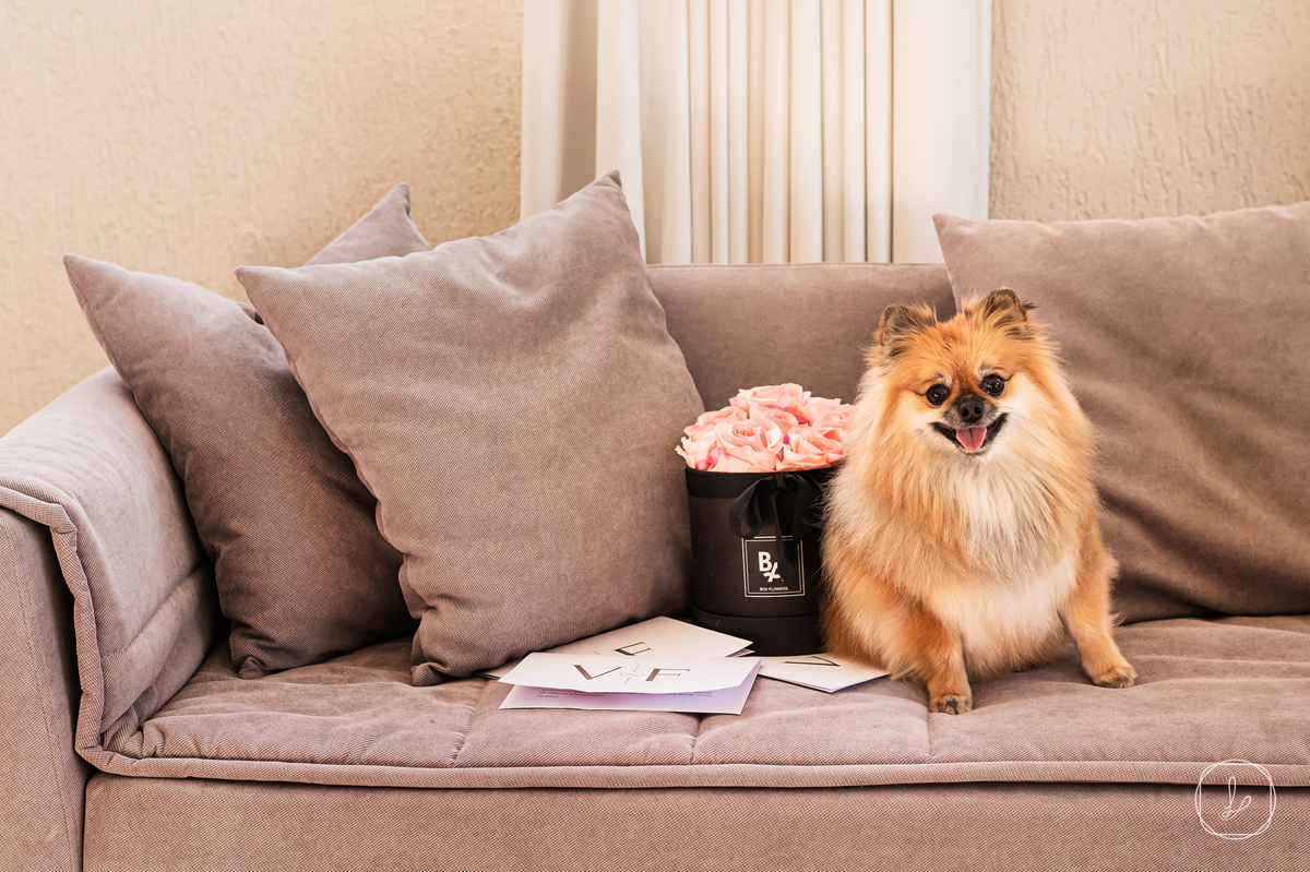 casamentoemvacaria,vanessawonsovicz,casamentoemvinicola,vacaria,solainepiccoli,vinicolacampestre,ltmfilmes,pordosol,melhoresfotosdecasamento,casamentoclassico,