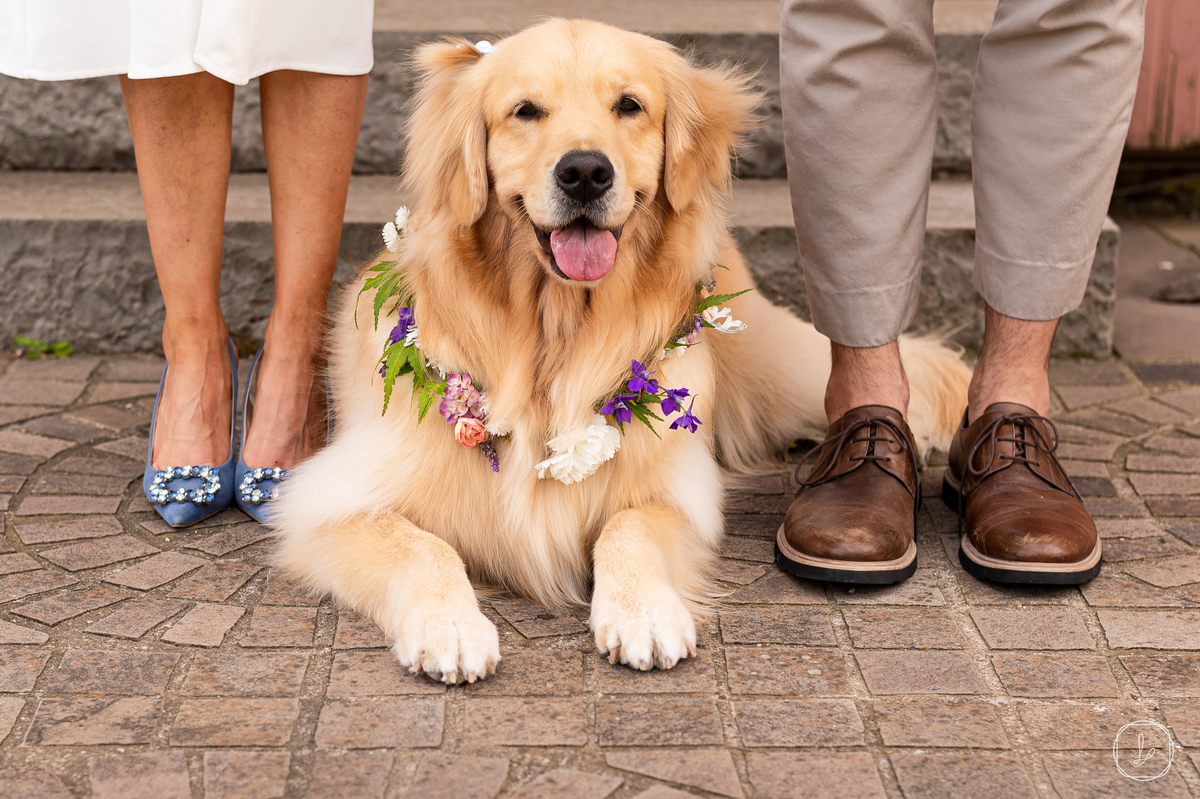 clinicaharmonia,ensaioamandaejorge,fotoscomcachorro,preweddingcomcachorro,golden,fotosaoarlivre,serragaucha,ensaionavinicola,melhoresvinhos,vinicolasnoRS