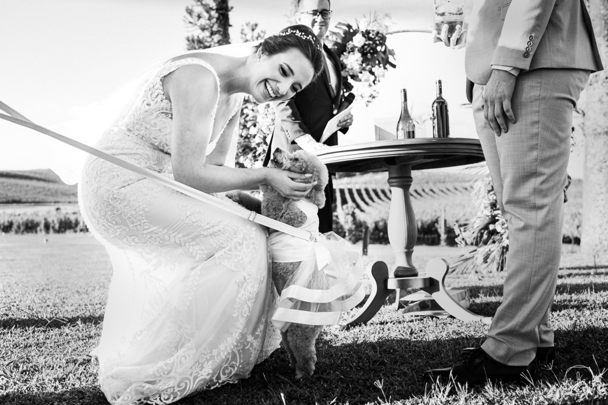 casamentonavinicola,serragaucha,vinicolaluizargenta,nelsonstudio,lucaslermenfotografia,casamentodedia,casamentoexterno,i5filmes,asmallmann,clorestaurante,fotografoemcaxiasdosul,floresdacunha,deboracamassola,melhoresfotosdecasamento