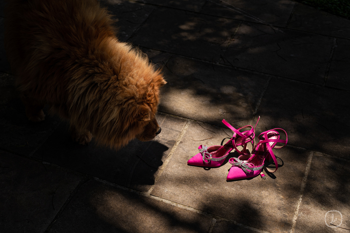 cozzirenoivas,casamentodedia,casamentonaserragaucha,casamentodedia,cerimoniaexterna,arlivre,celebrarcasadeventos,santaelaseventos,rosetafilmes,melhoresfotografosemcaxiasdosul,fotografoemcaxiasdosul,serragaucha,fotosdecasamento
