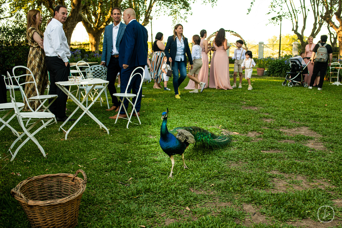 fotografodebodasargentina,bodasenbuenosaires,estancialamimosa,adrianacarolinafotografia,marianoteocrito,bodasargentina,fotosdebodas,destinationwedding,casamientos,mejoresfotosdebodas,decoraciondebodas,vestidodenovia,