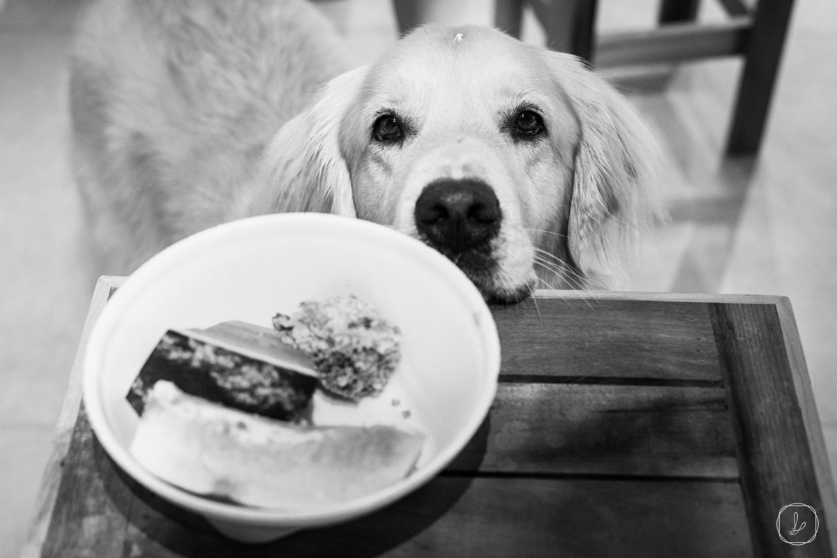 casamentopraiadorosa,carlosbacchi,melhoresvestidosdenoiva,edsoncardoso,cardosofilmes,fazendaverde,ascasamenteirasdorosa,vanessacarra,nosestudiodabeleza,jeffersonhoffmann,thiagomathias,vininetto,titaerafa,armfur,jamesfranca,francieleavila,casamentonapraia,