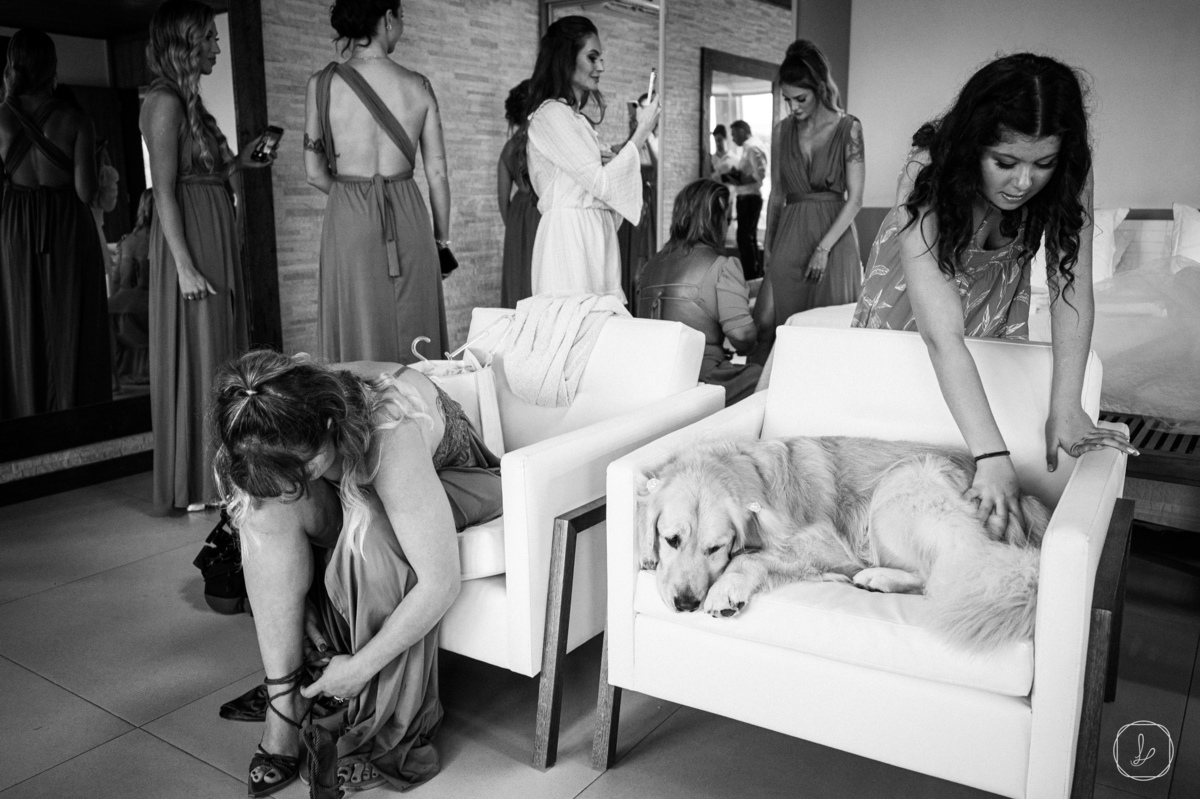 casamentopraiadorosa,carlosbacchi,melhoresvestidosdenoiva,edsoncardoso,cardosofilmes,fazendaverde,ascasamenteirasdorosa,vanessacarra,nosestudiodabeleza,jeffersonhoffmann,thiagomathias,vininetto,titaerafa,armfur,jamesfranca,francieleavila,casamentonapraia,