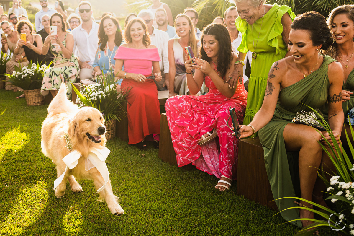 casamentopraiadorosa,carlosbacchi,melhoresvestidosdenoiva,edsoncardoso,cardosofilmes,fazendaverde,ascasamenteirasdorosa,vanessacarra,nosestudiodabeleza,jeffersonhoffmann,thiagomathias,vininetto,titaerafa,armfur,jamesfranca,francieleavila,casamentonapraia,