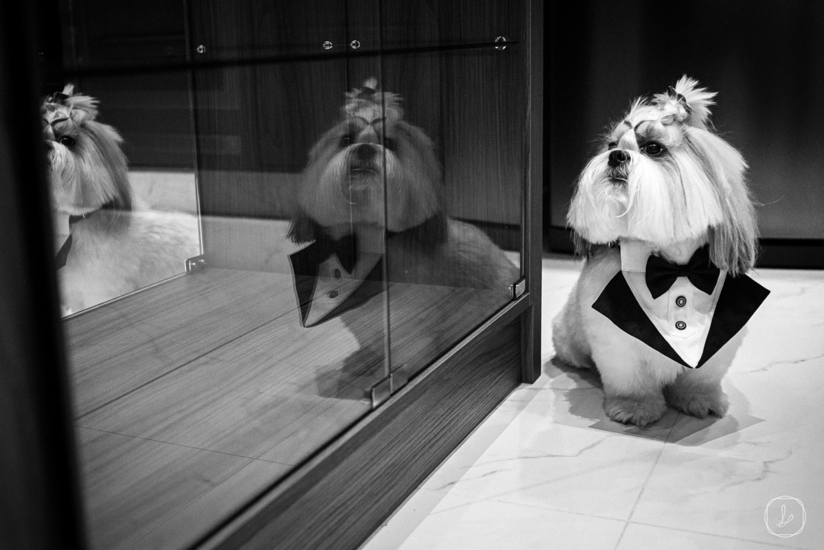 casamentoemvacaria,casamentonavinicolacampestre,fotografodecasamento,anadotto,paulapremieri,fotografodecasamentoRS,catedraldevacaria,fotografoemvacaria,casamentoclassico,casamentonaigreja