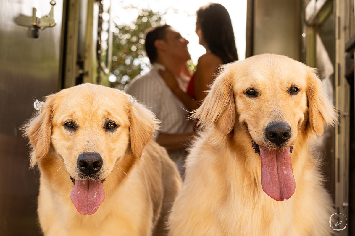 ensaioprewedding,cavecolinasdepedra,ensaiodecasalnavinicola,fotosdecasalvinicola,trem,precasamentoparana,fotografonoparana,fotografodecasamentopr