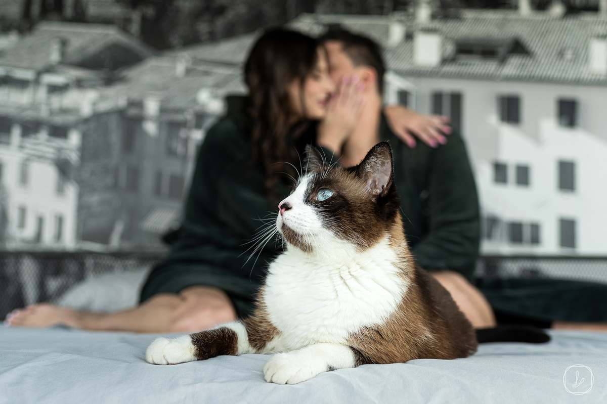 ensaiodecasal,prewedding,villamontagrapa,precasamentonaserragaucha,serragaucha,fotosdecasalnaserragaucha,casalcompet,casalcomgato,ensaiodecasalcomgato,showmotion,vanessacarra