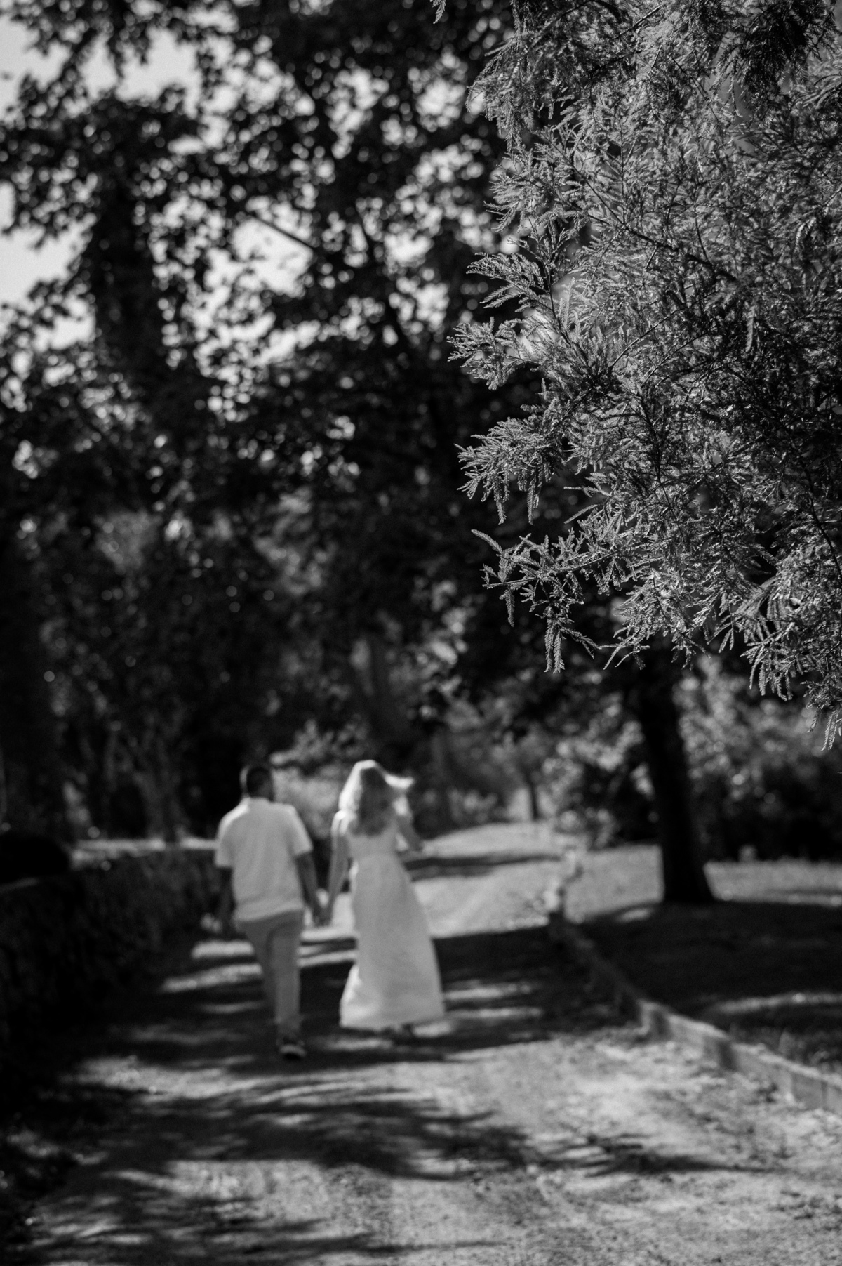 ensaioprecasamento,vinicolamadreterra,floresdacunha,serragaucha,fotografonaserragaucha,fotografoemcaxiasdosul,melhoresfotosdecasamento,fotografodecasamento,fotosexternas,prewedding,fotosemvinicola
