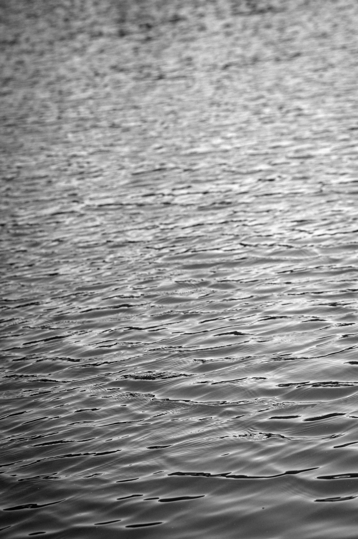 ensaioprecasamento,vinicolamadreterra,floresdacunha,serragaucha,fotografonaserragaucha,fotografoemcaxiasdosul,melhoresfotosdecasamento,fotografodecasamento,fotosexternas,prewedding,fotosemvinicola