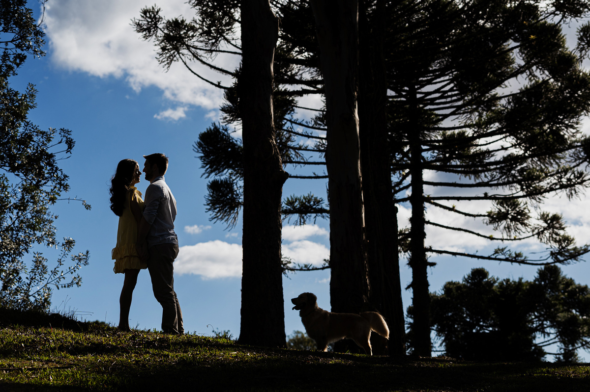 ensaioprecasamento,preweddingcomcachorro,fotoscomgolden,ensaionaserragaucha,fotosdecasalnavinicola,melhoresvinicolasserragaucha,lugarespracasarserragaucha,melhoresensaiosdecasamento,fotosdecasal