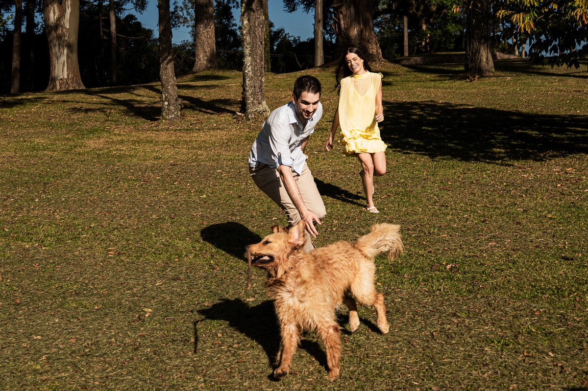 ensaioprecasamento,preweddingcomcachorro,fotoscomgolden,ensaionaserragaucha,fotosdecasalnavinicola,melhoresvinicolasserragaucha,lugarespracasarserragaucha,melhoresensaiosdecasamento,fotosdecasal