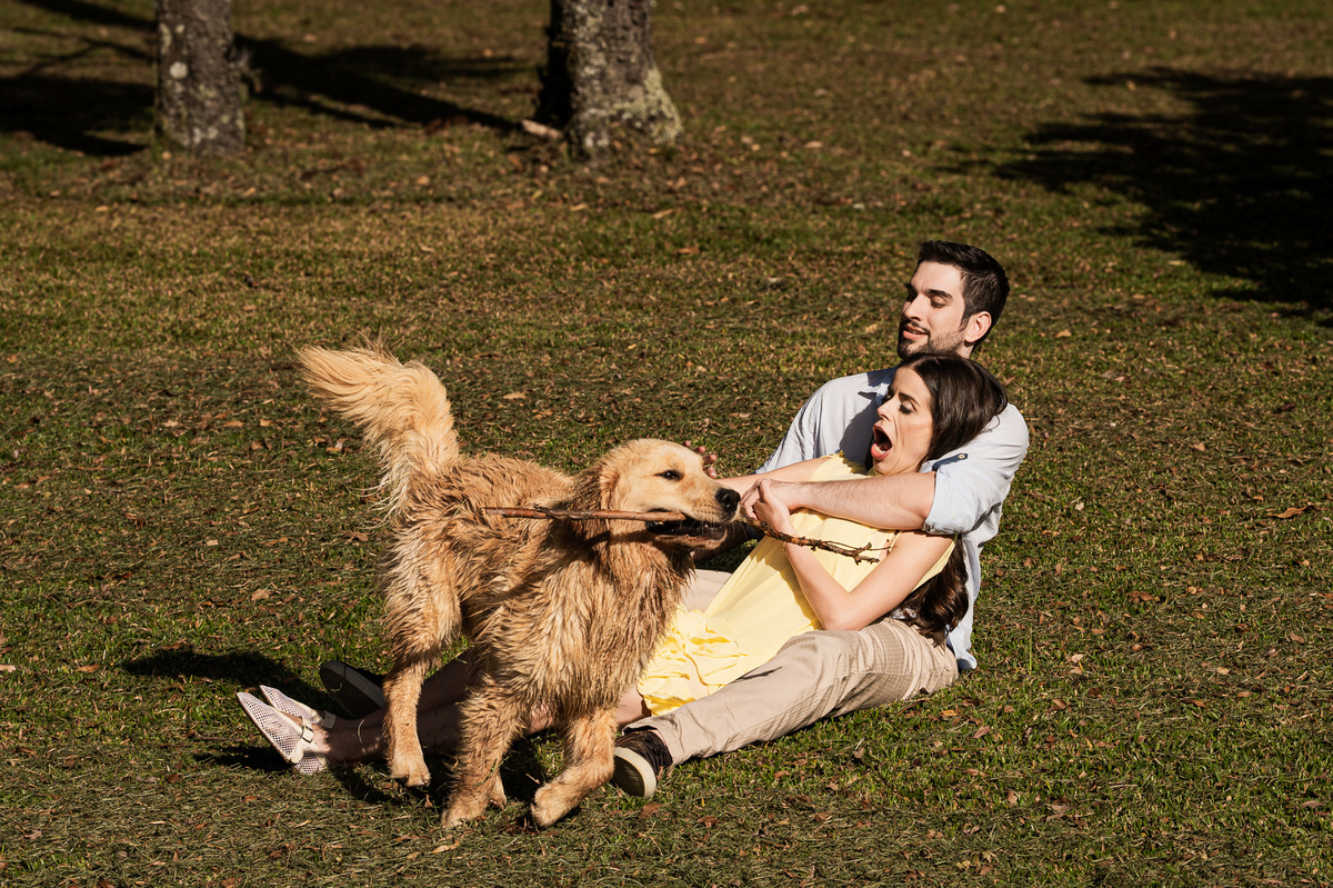 ensaioprecasamento,preweddingcomcachorro,fotoscomgolden,ensaionaserragaucha,fotosdecasalnavinicola,melhoresvinicolasserragaucha,lugarespracasarserragaucha,melhoresensaiosdecasamento,fotosdecasal