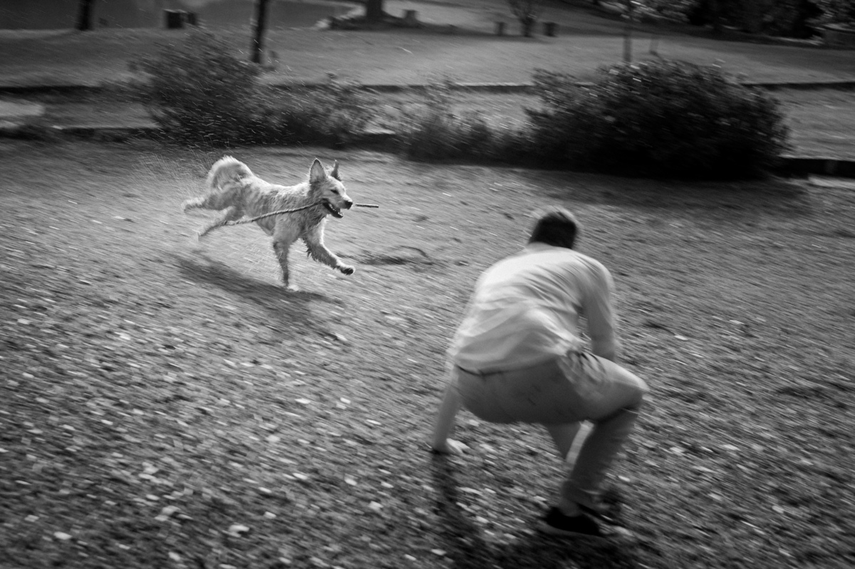 ensaioprecasamento,preweddingcomcachorro,fotoscomgolden,ensaionaserragaucha,fotosdecasalnavinicola,melhoresvinicolasserragaucha,lugarespracasarserragaucha,melhoresensaiosdecasamento,fotosdecasal