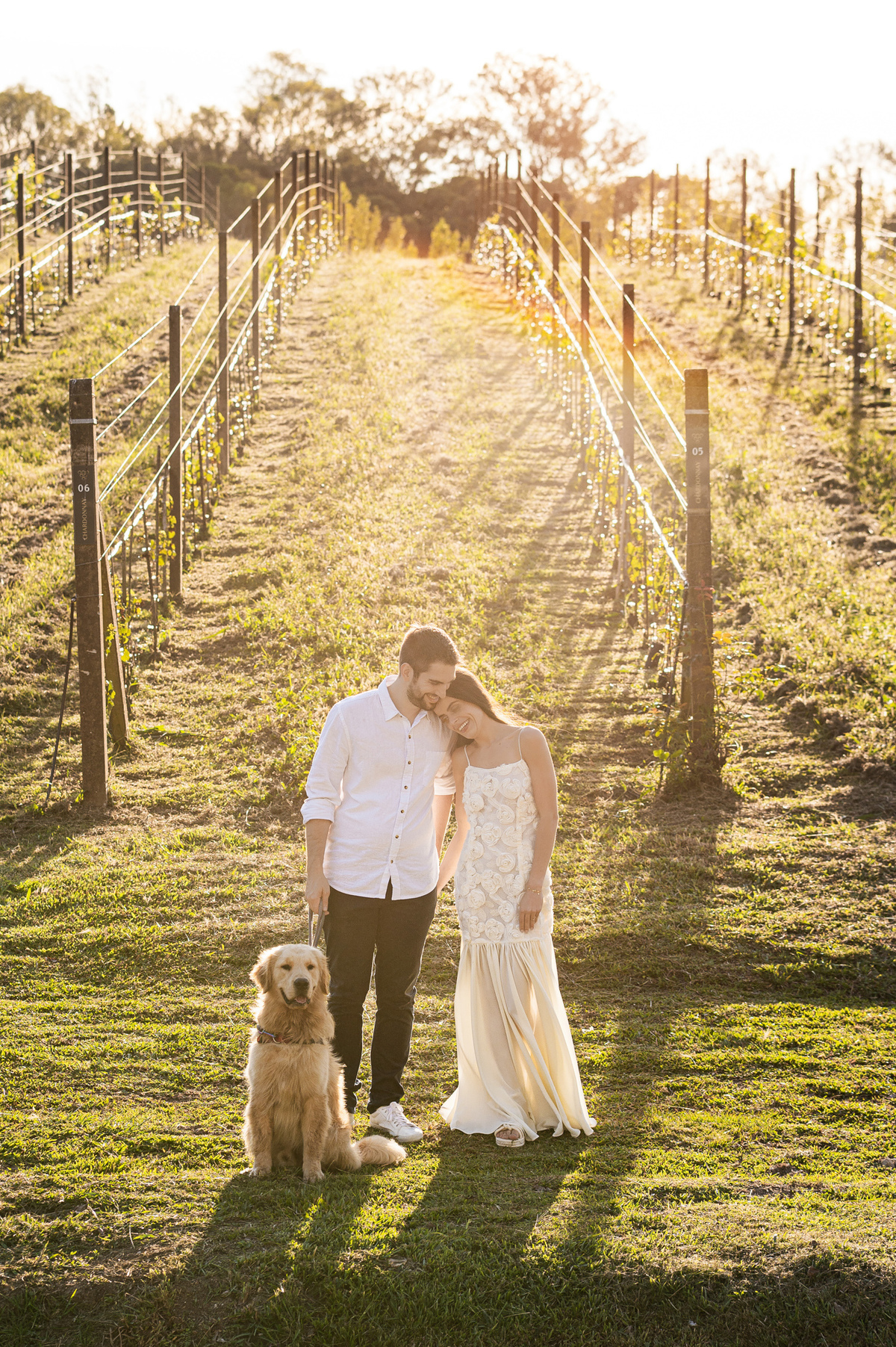ensaioprecasamento,preweddingcomcachorro,fotoscomgolden,ensaionaserragaucha,fotosdecasalnavinicola,melhoresvinicolasserragaucha,lugarespracasarserragaucha,melhoresensaiosdecasamento,fotosdecasal
