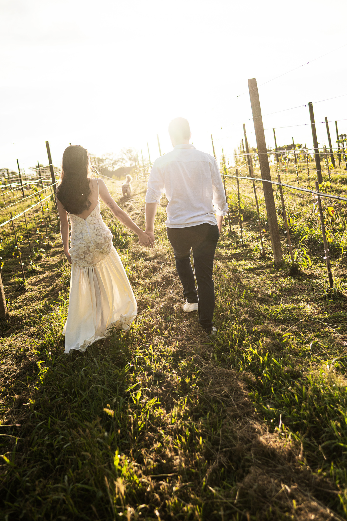 ensaioprecasamento,preweddingcomcachorro,fotoscomgolden,ensaionaserragaucha,fotosdecasalnavinicola,melhoresvinicolasserragaucha,lugarespracasarserragaucha,melhoresensaiosdecasamento,fotosdecasal