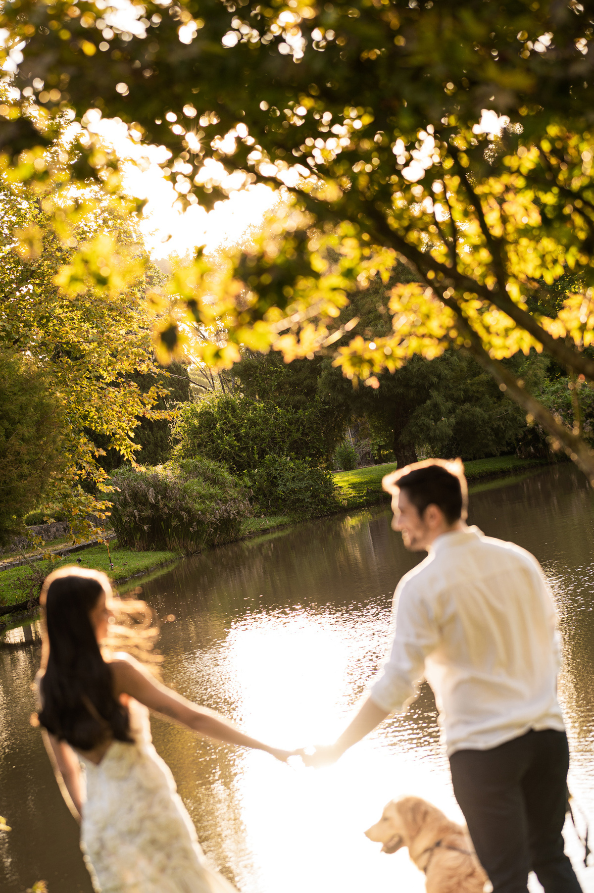 ensaioprecasamento,preweddingcomcachorro,fotoscomgolden,ensaionaserragaucha,fotosdecasalnavinicola,melhoresvinicolasserragaucha,lugarespracasarserragaucha,melhoresensaiosdecasamento,fotosdecasal