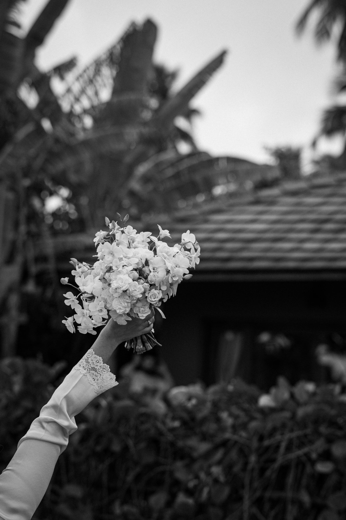 casamentoemmilagres,saomigueldosmilagres,casamentonapraia,flordelis,pousadahaya,lucasanderi,fotografodecasamentoemmilagres,fotografononordeste,fotografoalagoas,melhoresfotosdecasamento,gustavoribeiro,paulinilopes,casamentoalagoas,casamentodedia,flaviareis