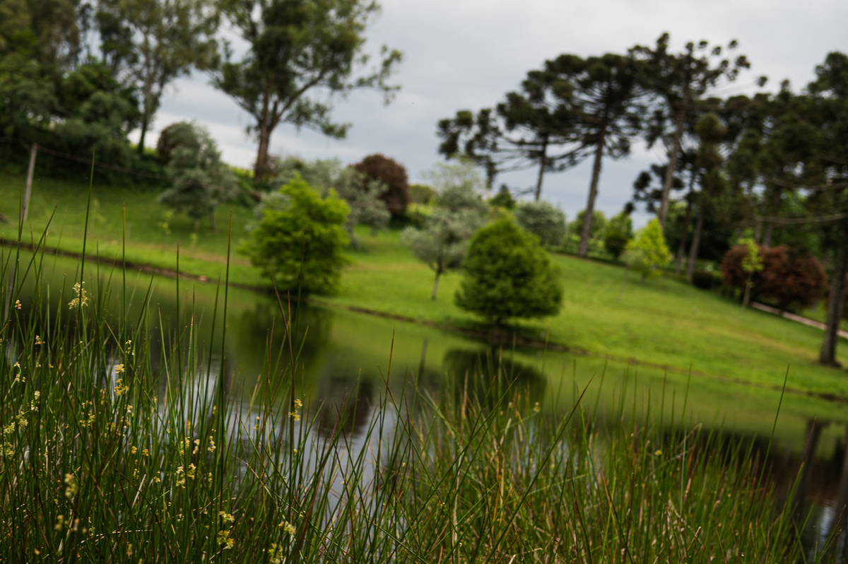 ensaiodecasal,prewedding,precasamento,pedidodecasamento,serragaucha,fotografonaserragaucha,vinicolamadreterra,fotografoemcaxiasdosul,fotografoemfloresdacunha,fotografonors,pedidodecasamento,pedidodenoivado,vinicolasmaislindas,melhoresvinicolasserragaucha