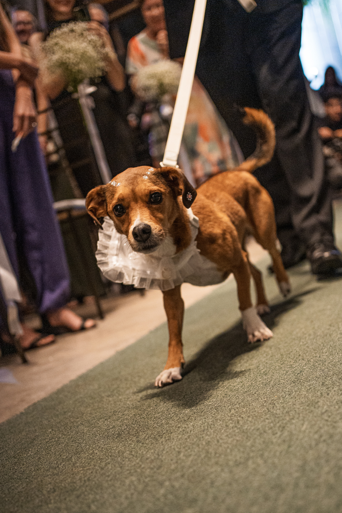 casamentoemfloresdacunha,casamentonaserragaucha,casagazzaro,casamentoemvinicola,fotografonaserragaucha,fotografodecasamentonors,fotografoemfloresdacunha,melhoresfotosdecasamento,casagazzaro,ricobracco,noivas