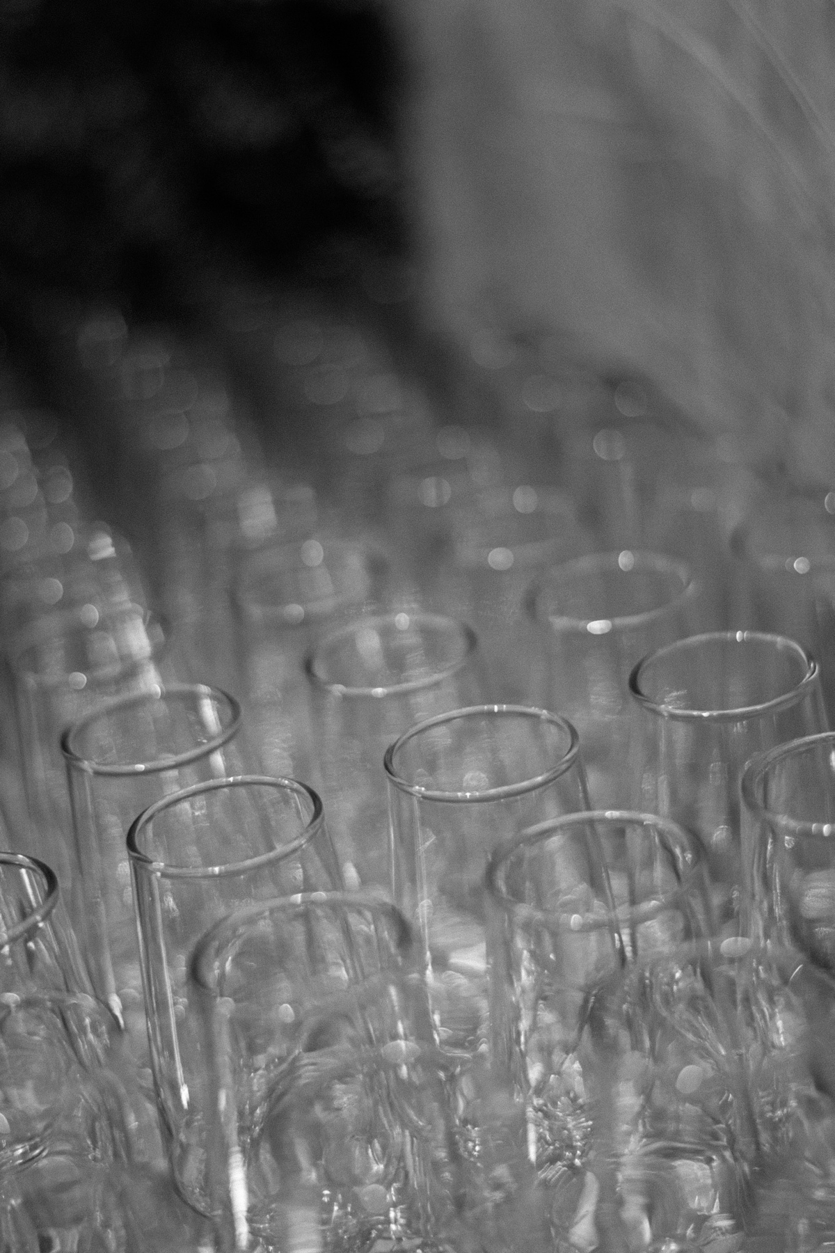 formatura,medicina,ulbra,adrieventos,portoalegre,canoas,ahcasa,fotografodeformatura,fotosdeformatura,fotografoemportoalegre,fotografonoRS,melhroesfotosdeformatura