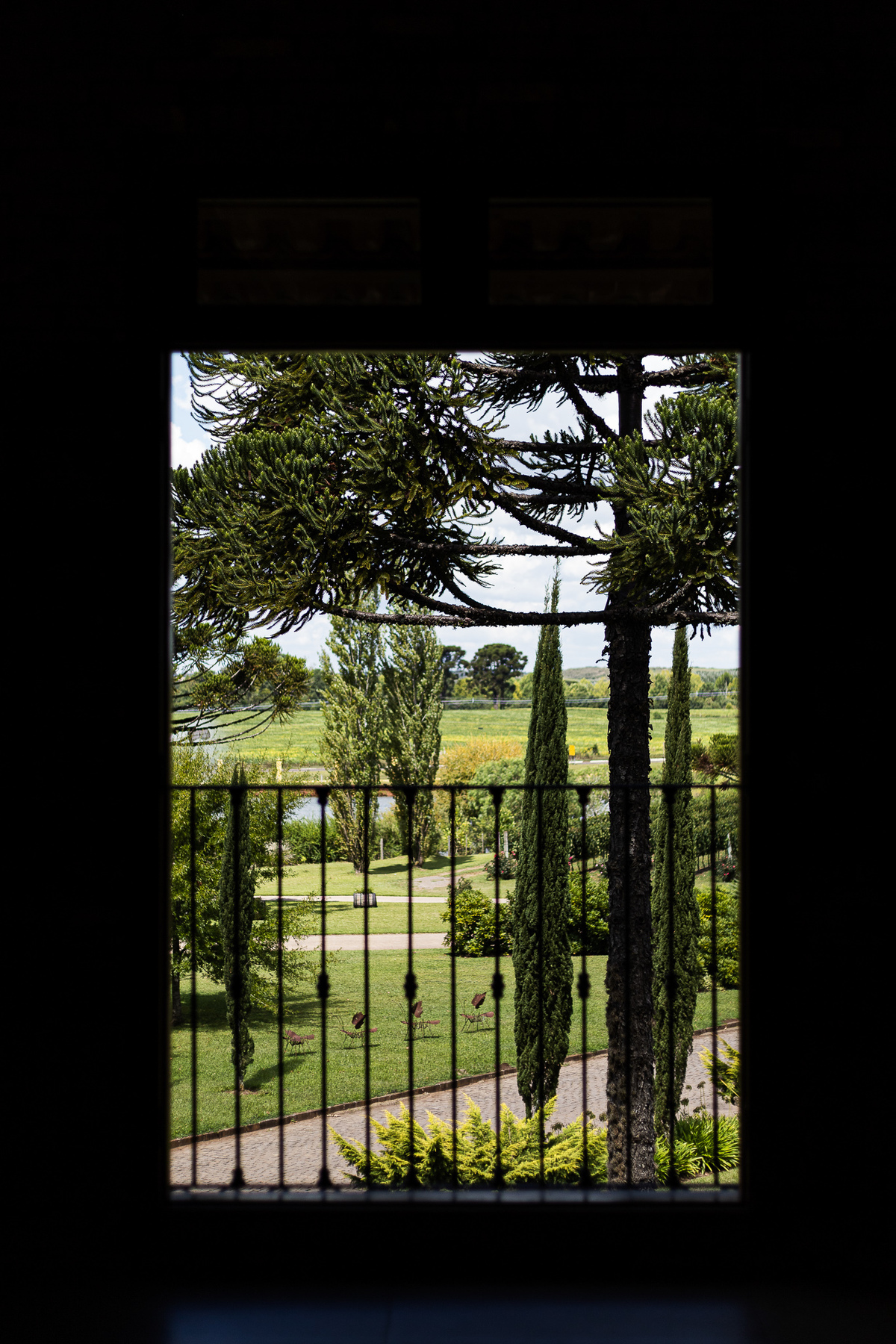 casamentoemvacaria,serragaucha,vinicolacampestre,lugarespracasar,destinationweddingserragaucha,casamentoemvinicola,vinicolasbrasil,vinicolasRS,casamentoderevista,melhorescasamentoRS,fotografodecasamentoserragaucha,fotografonoRS,fotosdecasamento,vestido