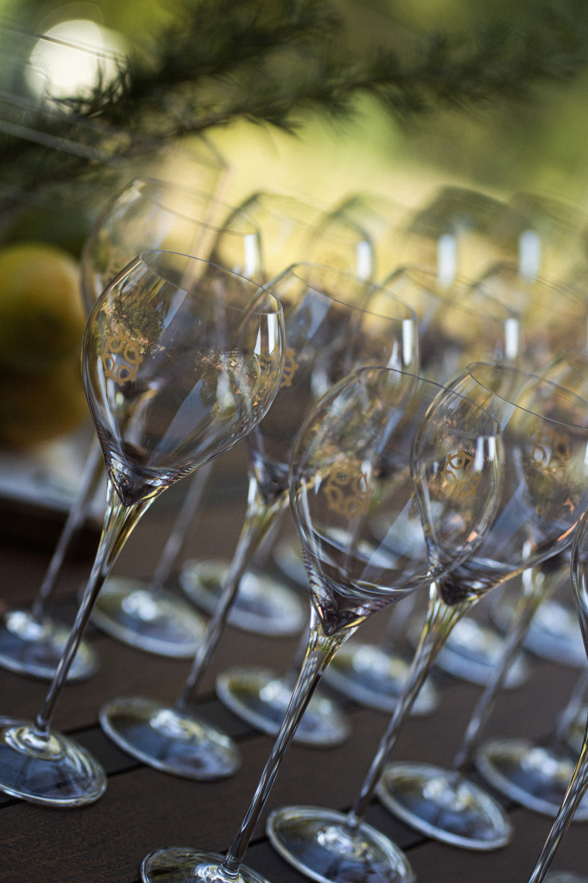 casamentonovaledosvinhedos,casamentonaserragaucha,celebrimomentos,lugarespracasarnaserragaucha,cavegeisse,melhoreslugaresparacasamento,bellocostume,vestidodenoiva,anacarolinaatelier,geisseterroir,decoracaodecasamento,quebrigadeiro,docesdecasamento,