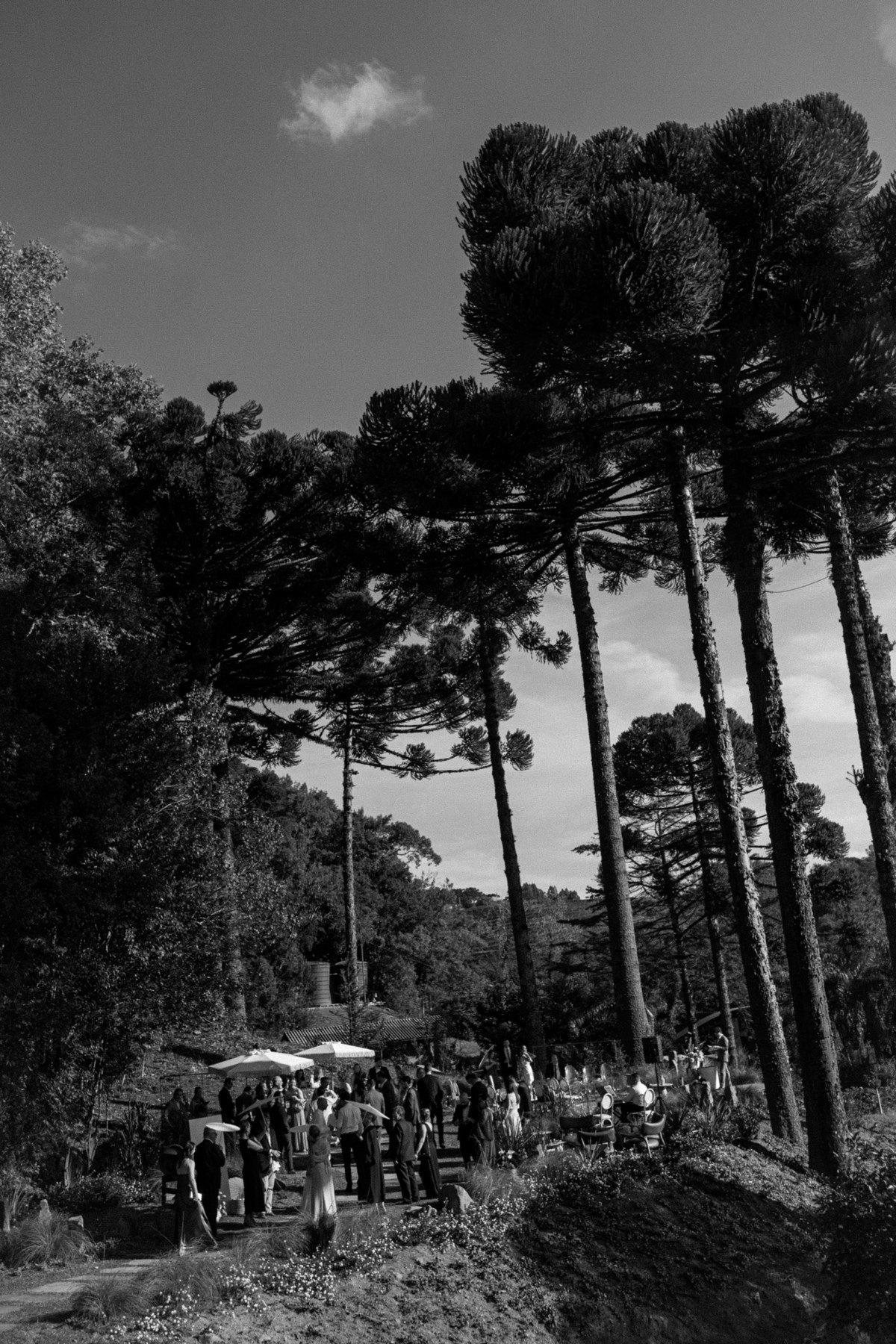 casamentonovaledosvinhedos,casamentonaserragaucha,celebrimomentos,lugarespracasarnaserragaucha,cavegeisse,melhoreslugaresparacasamento,bellocostume,vestidodenoiva,anacarolinaatelier,geisseterroir,decoracaodecasamento,quebrigadeiro,docesdecasamento,