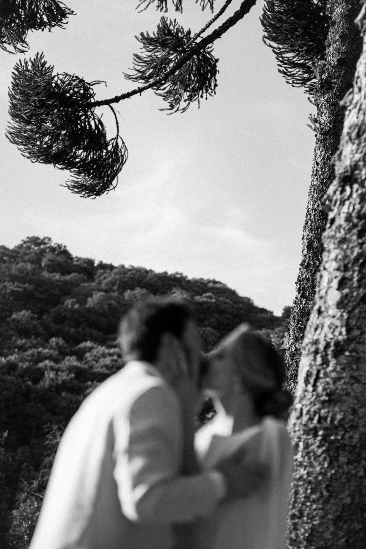 casamentonovaledosvinhedos,casamentonaserragaucha,celebrimomentos,lugarespracasarnaserragaucha,cavegeisse,melhoreslugaresparacasamento,bellocostume,vestidodenoiva,anacarolinaatelier,geisseterroir,decoracaodecasamento,quebrigadeiro,docesdecasamento,