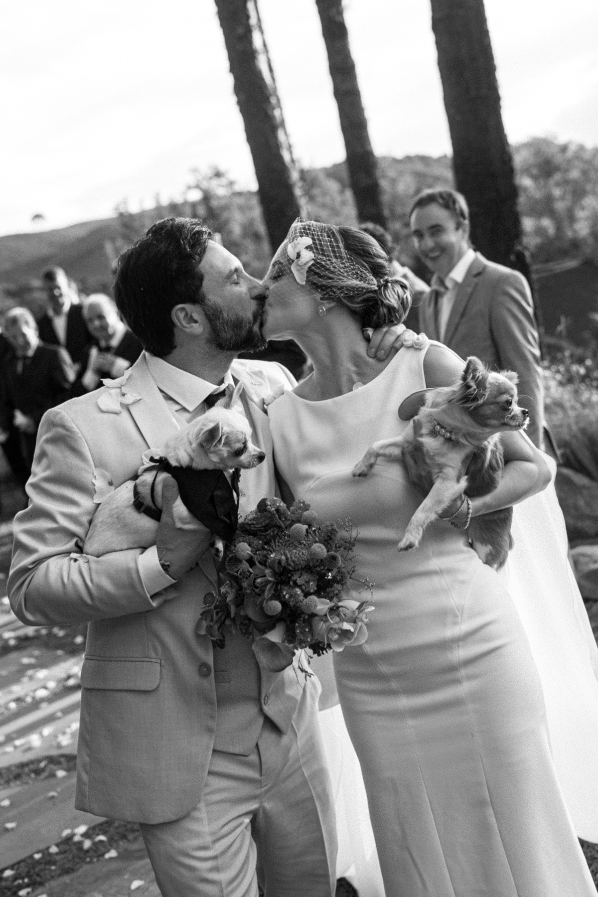 casamentonovaledosvinhedos,casamentonaserragaucha,celebrimomentos,lugarespracasarnaserragaucha,cavegeisse,melhoreslugaresparacasamento,bellocostume,vestidodenoiva,anacarolinaatelier,geisseterroir,decoracaodecasamento,quebrigadeiro,docesdecasamento,