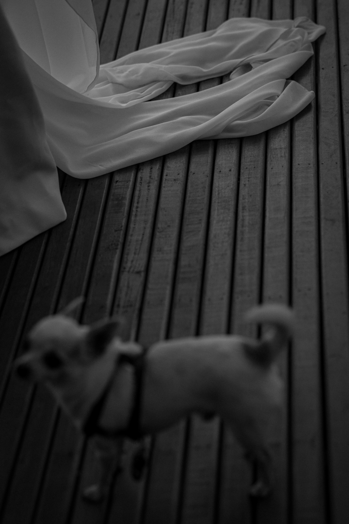 casamentonovaledosvinhedos,casamentonaserragaucha,celebrimomentos,lugarespracasarnaserragaucha,cavegeisse,melhoreslugaresparacasamento,bellocostume,vestidodenoiva,anacarolinaatelier,geisseterroir,decoracaodecasamento,quebrigadeiro,docesdecasamento,