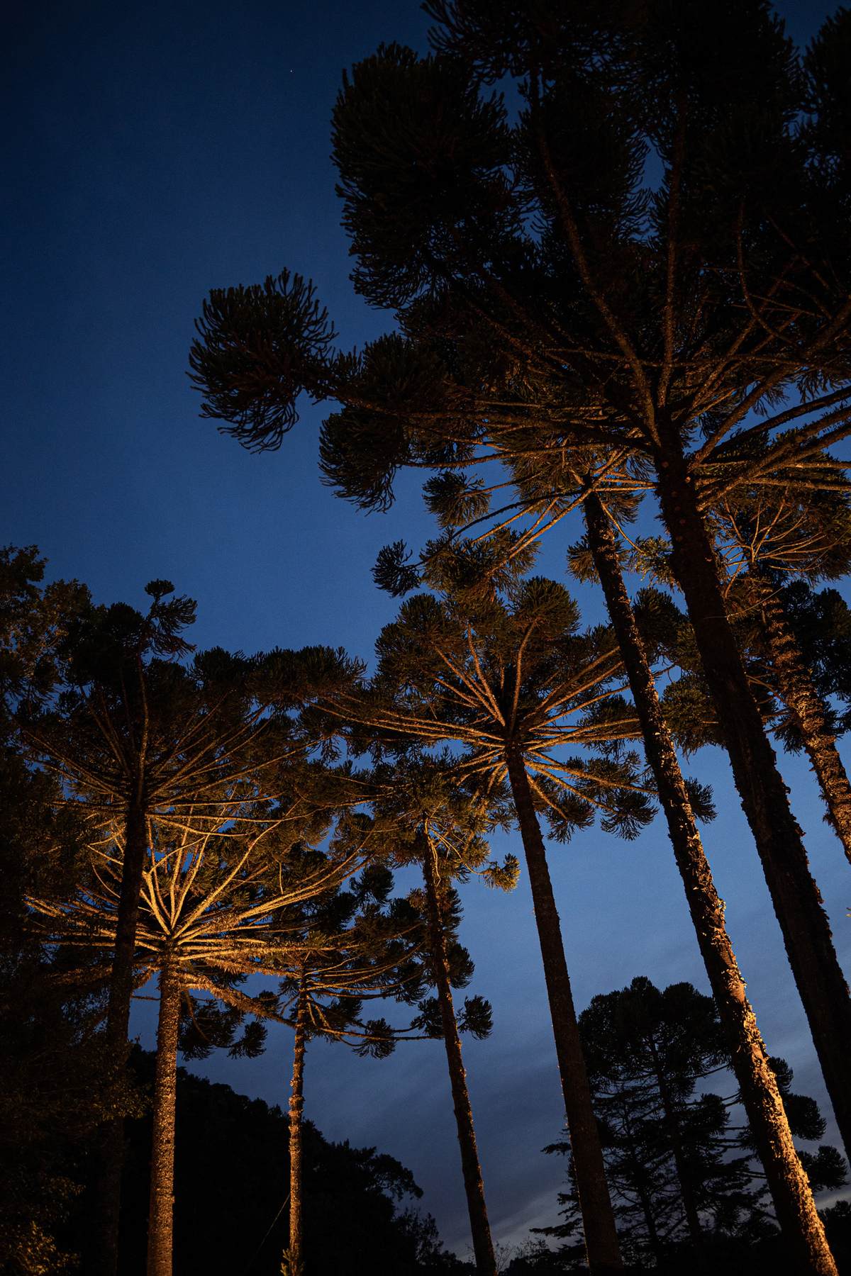 casamentonovaledosvinhedos,casamentonaserragaucha,celebrimomentos,lugarespracasarnaserragaucha,cavegeisse,melhoreslugaresparacasamento,bellocostume,vestidodenoiva,anacarolinaatelier,geisseterroir,decoracaodecasamento,quebrigadeiro,docesdecasamento,