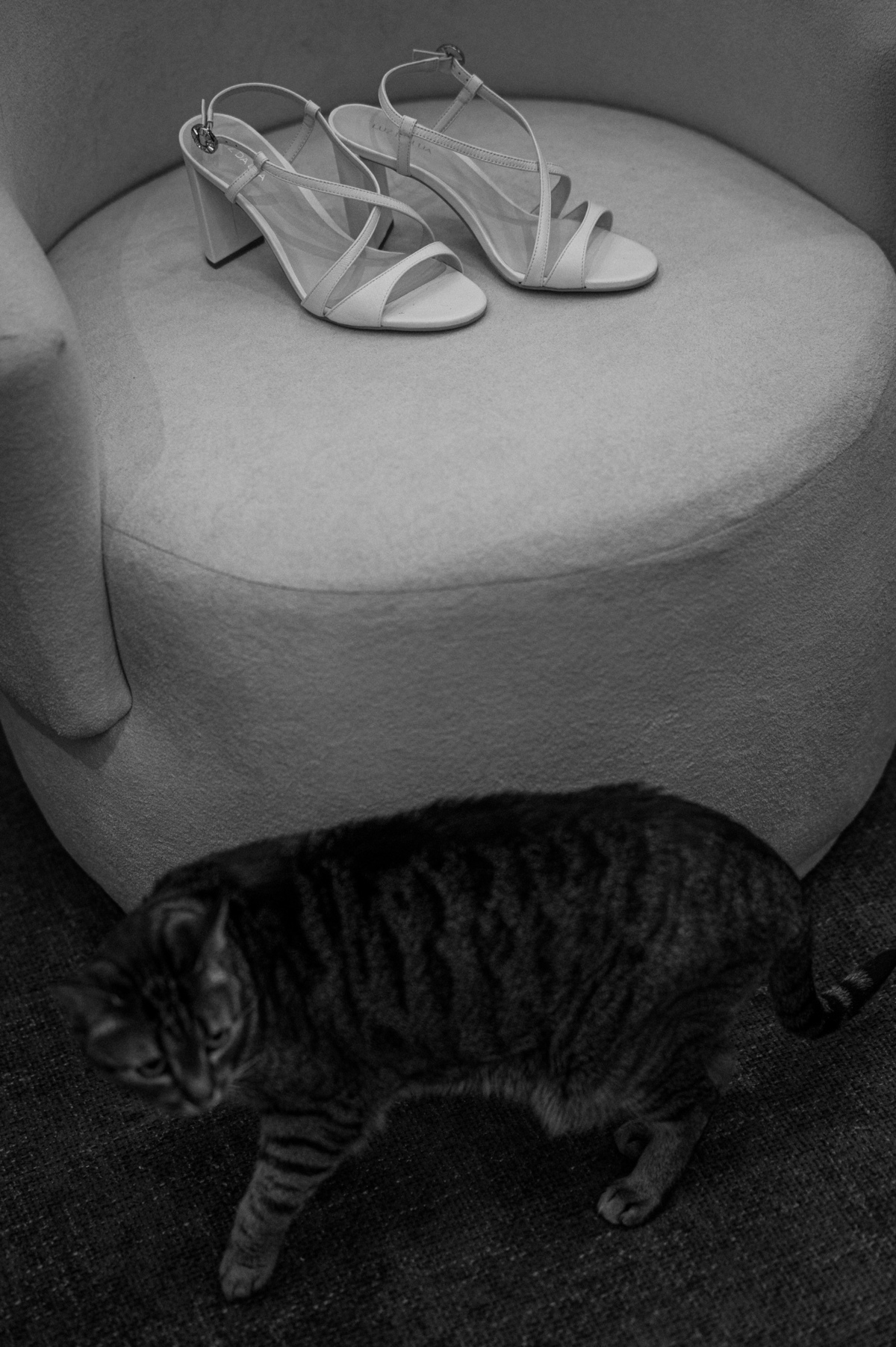 serginhomoah,casamentonaserragaucha,fotografodecasamentocaxiasdosul,farroupilha,bentogoncalves,fotografonoRS,anadottoatelier,lugarespracasarnaserragaucha,melhoresvestidodenoiva,tendenciasdecasamentoexterno,editefilms,lacasapiemont,celebrimomentos,