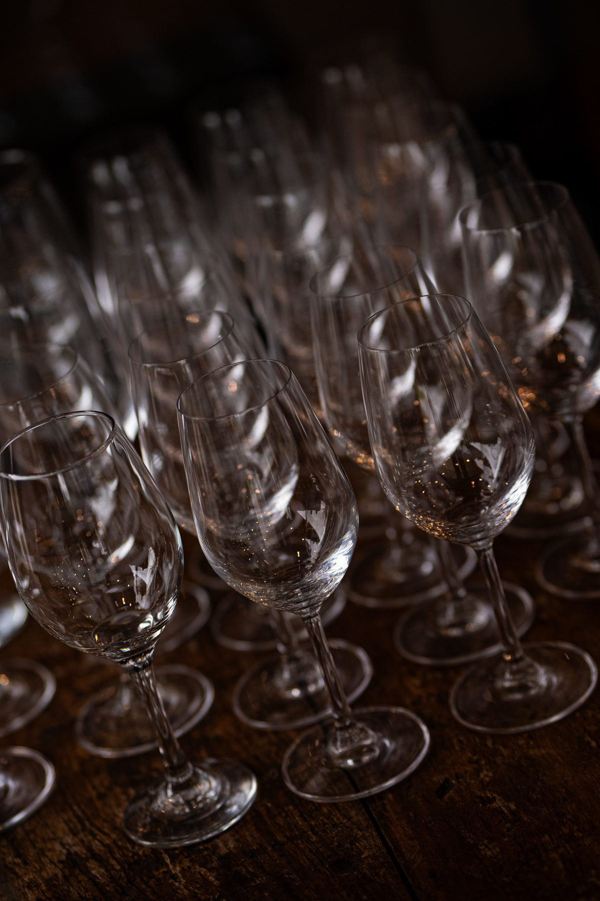 serragaucha,valedosvinhedos,welcomepartynavinicola,lucaslermen,dirceheuser,casamentonaserragaucha,destinationwedding,newframefilms,melhoresfotosdecasamento,fotografodecasamento,fotografonoRS,fotografonaserragaucha