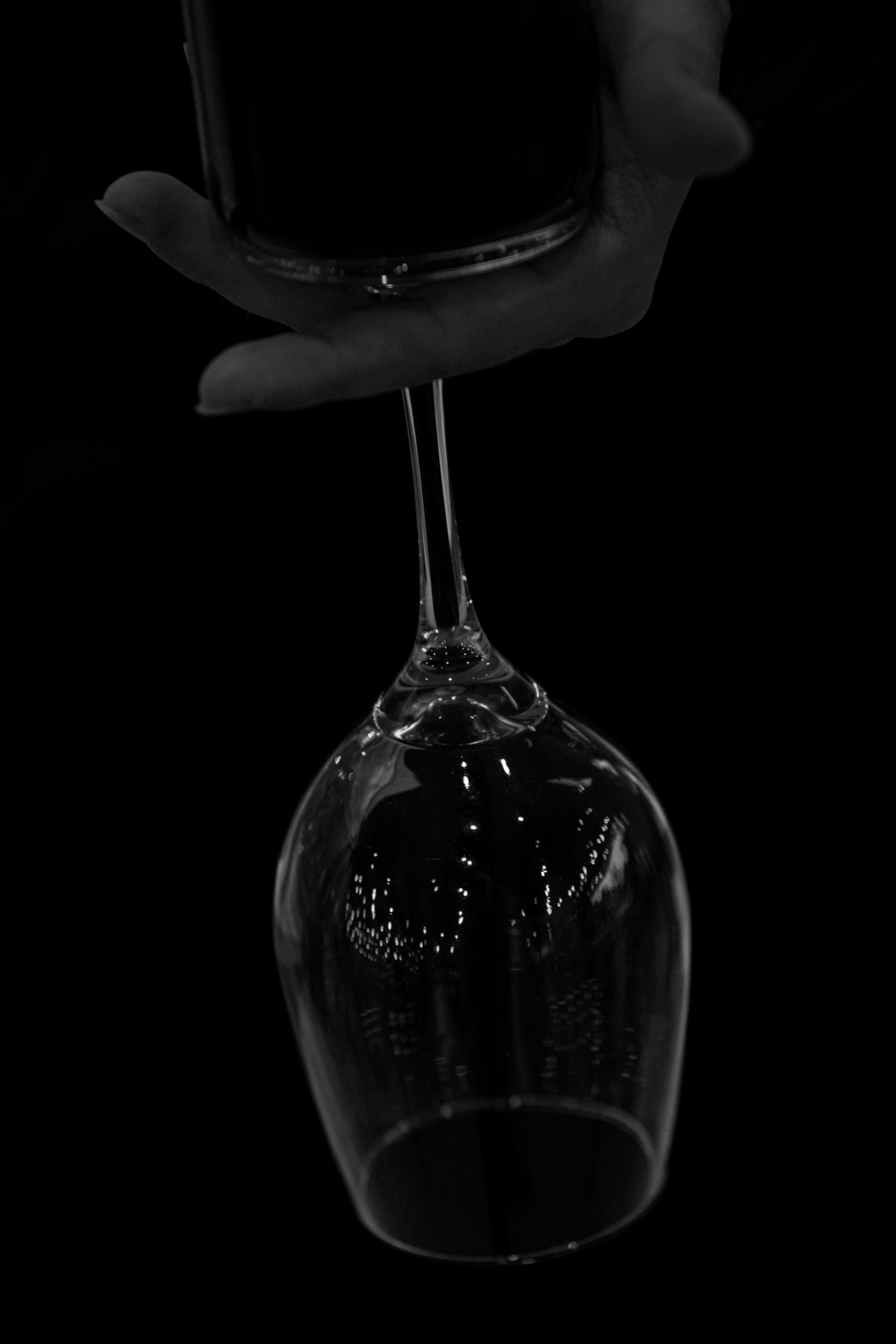 serragaucha,valedosvinhedos,welcomepartynavinicola,lucaslermen,dirceheuser,casamentonaserragaucha,destinationwedding,newframefilms,melhoresfotosdecasamento,fotografodecasamento,fotografonoRS,fotografonaserragaucha