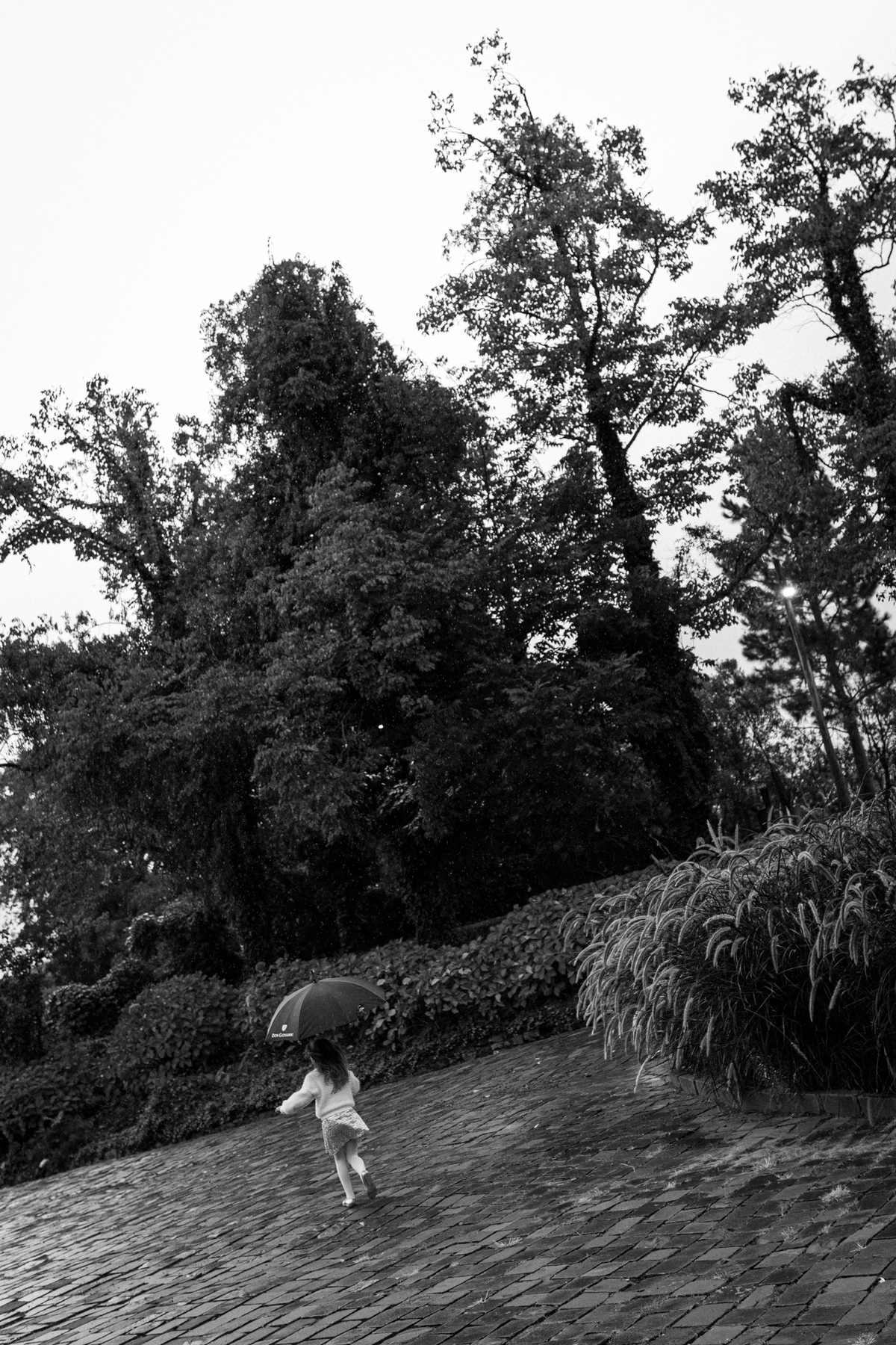 serragaucha,valedosvinhedos,welcomepartynavinicola,lucaslermen,dirceheuser,casamentonaserragaucha,destinationwedding,newframefilms,melhoresfotosdecasamento,fotografodecasamento,fotografonoRS,fotografonaserragaucha