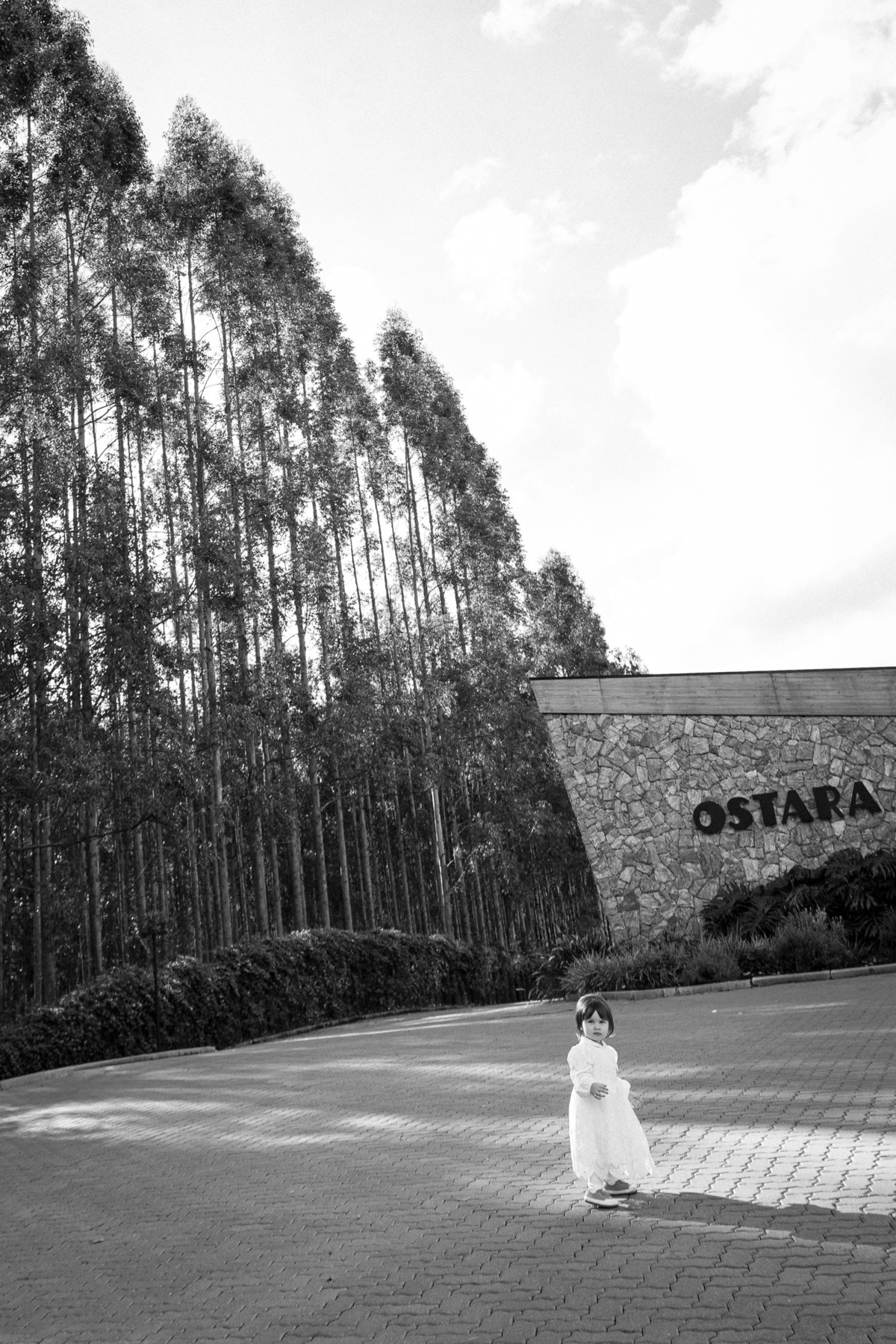 casamentonaserragaucha, valedosvinhedos, vinicolamonteastral, dirce heuser, fotografodecasamentonaserragaucha, bento gonçalves, caxiasdosul,fotografonoRS,newframefilms,ostararestaurante,kissabraga,locaispracasarserragaucha,vinicolasnaserragaucha,jane