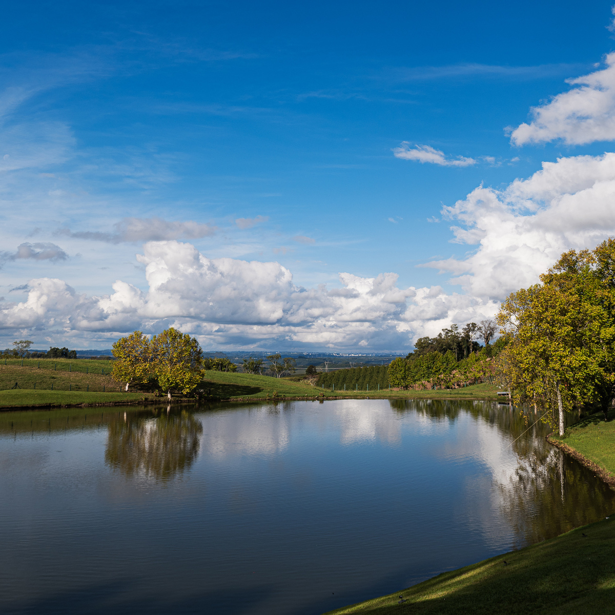 casamentonaserragaucha, valedosvinhedos, vinicolamonteastral, dirce heuser, fotografodecasamentonaserragaucha, bento gonçalves, caxiasdosul,fotografonoRS,newframefilms,ostararestaurante,kissabraga,locaispracasarserragaucha,vinicolasnaserragaucha,jane