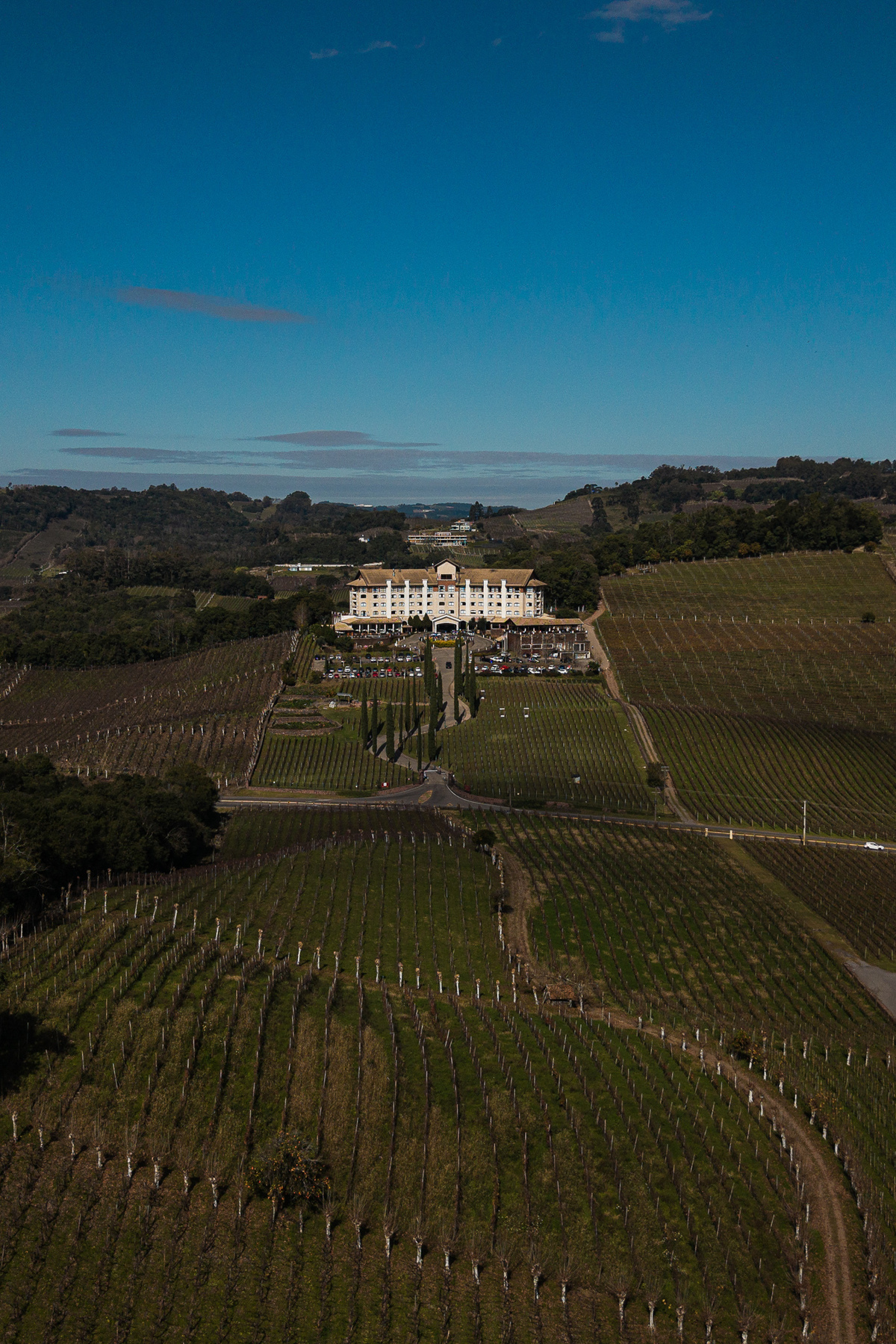 casamentonaserragaucha,valedosvinhedos,marcoluigi,hotelespadovinho,lucaslermen,djdanna,carlanegri,casamentosnaserra,vestidodenoiva,casamentoclassico,casamentoelegante,newframefilms,droneweddings