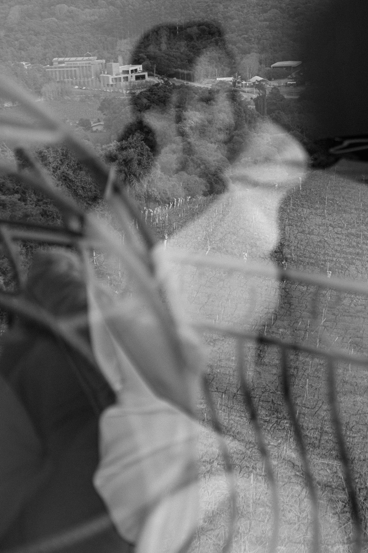 casamentonaserragaucha,valedosvinhedos,marcoluigi,hotelespadovinho,lucaslermen,djdanna,carlanegri,casamentosnaserra,vestidodenoiva,casamentoclassico,casamentoelegante,newframefilms,droneweddings