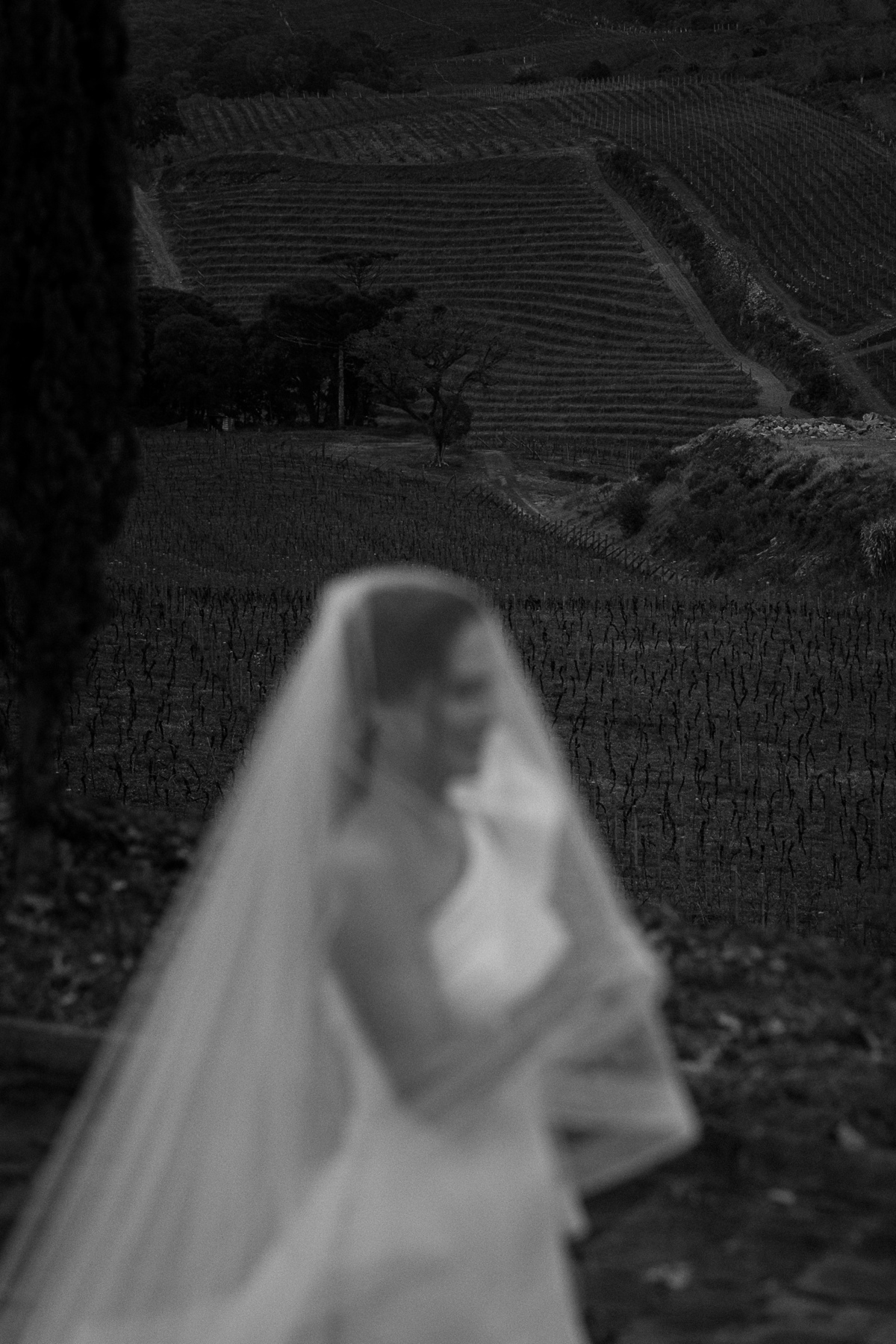 casamentonaserragaucha,valedosvinhedos,marcoluigi,hotelespadovinho,lucaslermen,djdanna,carlanegri,casamentosnaserra,vestidodenoiva,casamentoclassico,casamentoelegante,newframefilms,droneweddings