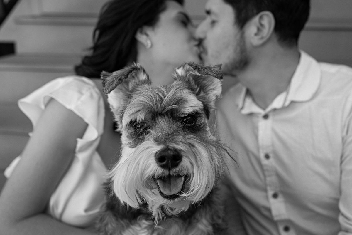 ensaionaserragaucha,vinicolacasacorba,casamentonaserragaucha,melhoresfotosnaserragaucha,fotosdecasalnaserragaucha,ensaioemvinicola,ensaiocomcachorro,fotoscomcachorro