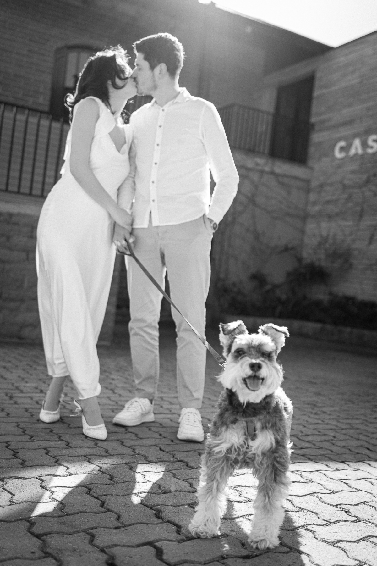 ensaionaserragaucha,vinicolacasacorba,casamentonaserragaucha,melhoresfotosnaserragaucha,fotosdecasalnaserragaucha,ensaioemvinicola,ensaiocomcachorro,fotoscomcachorro