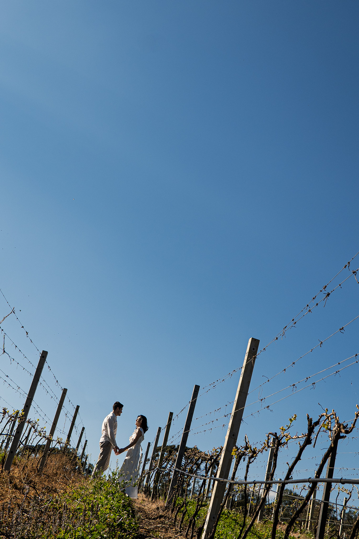ensaionaserragaucha,vinicolacasacorba,casamentonaserragaucha,melhoresfotosnaserragaucha,fotosdecasalnaserragaucha,ensaioemvinicola,ensaiocomcachorro,fotoscomcachorro