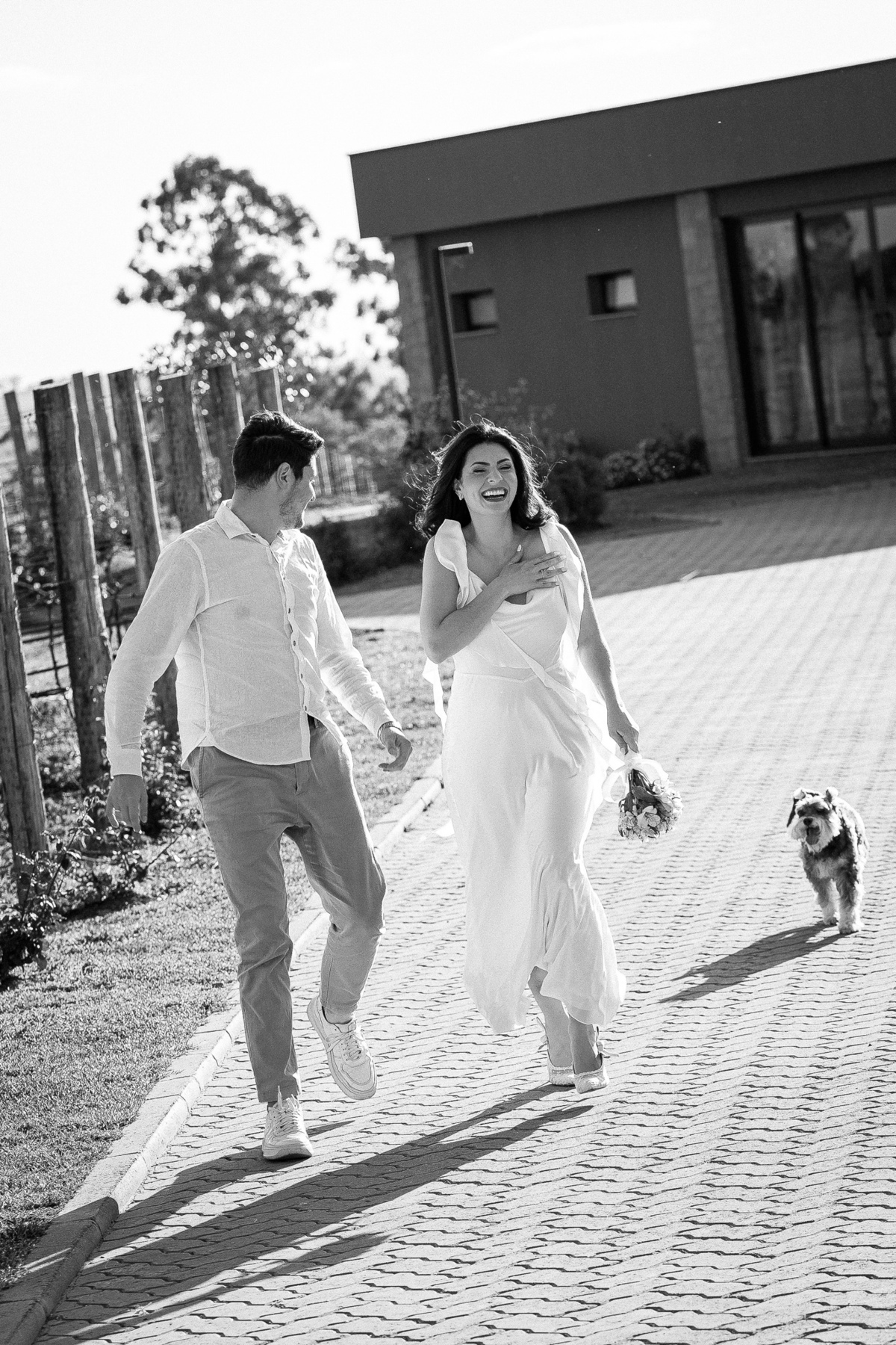 ensaionaserragaucha,vinicolacasacorba,casamentonaserragaucha,melhoresfotosnaserragaucha,fotosdecasalnaserragaucha,ensaioemvinicola,ensaiocomcachorro,fotoscomcachorro