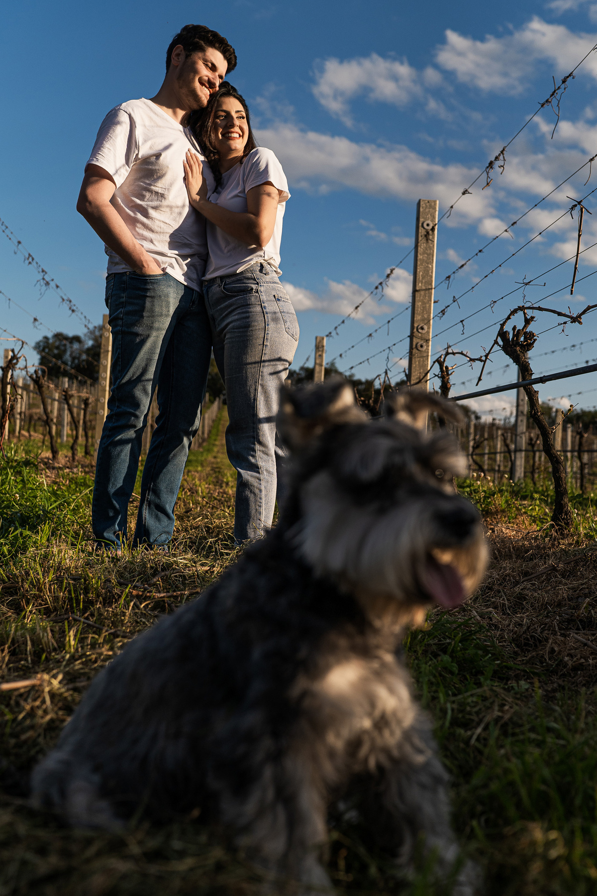 ensaionaserragaucha,vinicolacasacorba,casamentonaserragaucha,melhoresfotosnaserragaucha,fotosdecasalnaserragaucha,ensaioemvinicola,ensaiocomcachorro,fotoscomcachorro