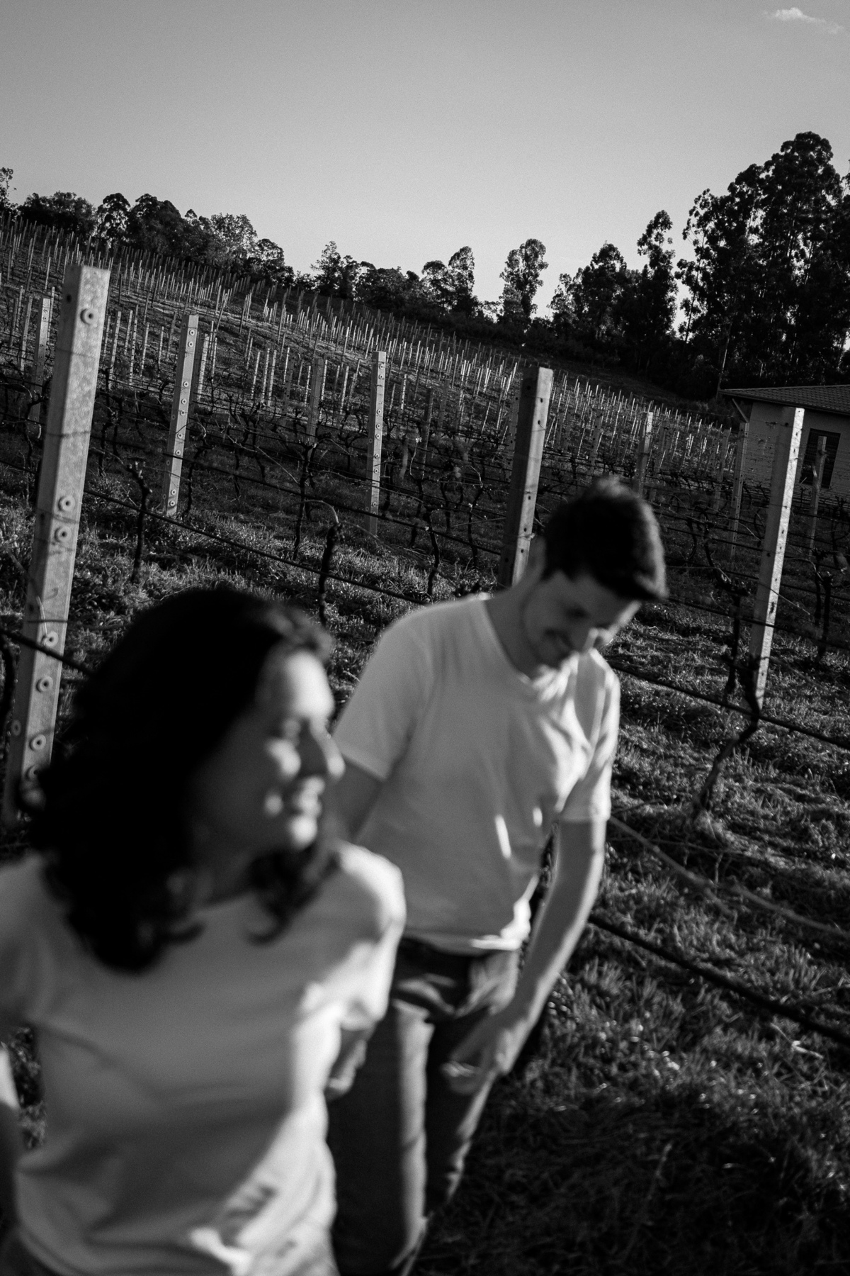 ensaionaserragaucha,vinicolacasacorba,casamentonaserragaucha,melhoresfotosnaserragaucha,fotosdecasalnaserragaucha,ensaioemvinicola,ensaiocomcachorro,fotoscomcachorro